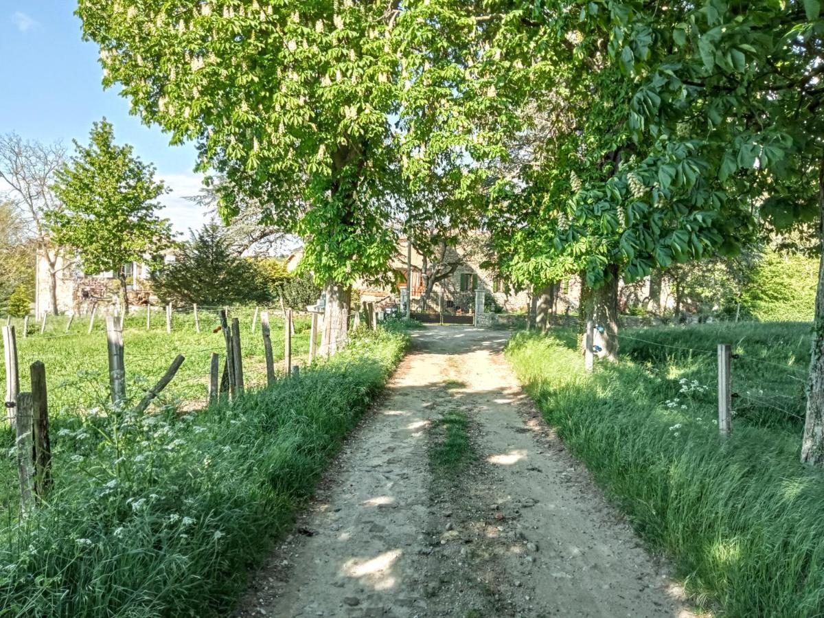 "La Voute De Pierre" Gite Independant Saint-Cyr  Dış mekan fotoğraf
