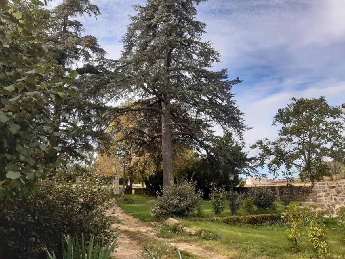"La Voute De Pierre" Gite Independant Saint-Cyr  Dış mekan fotoğraf